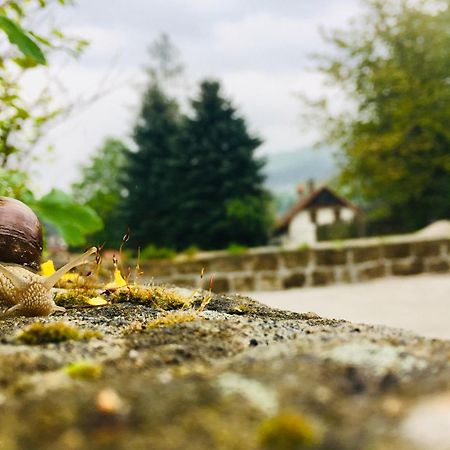 Penzion Sloup Sloup  Buitenkant foto