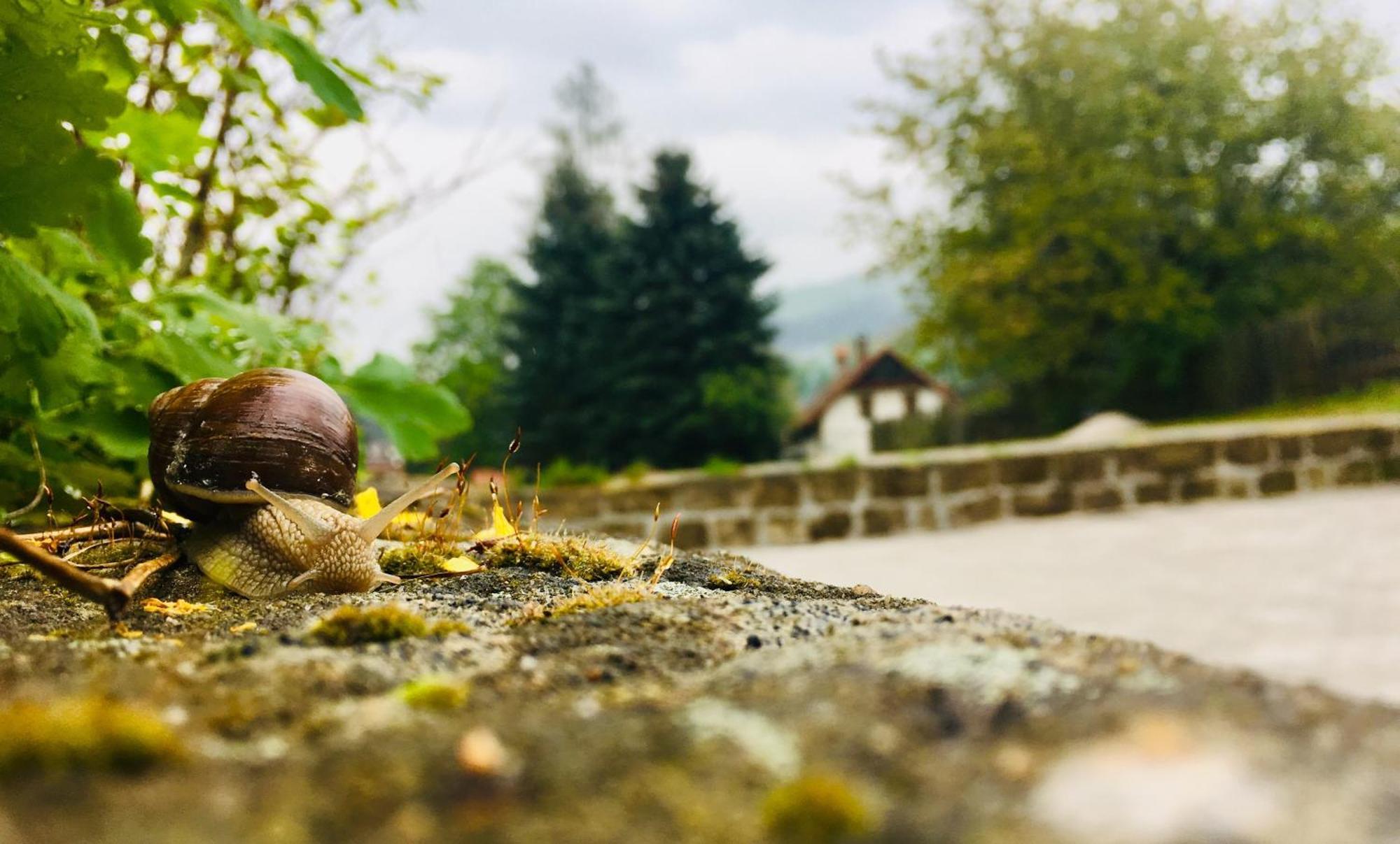 Penzion Sloup Sloup  Buitenkant foto